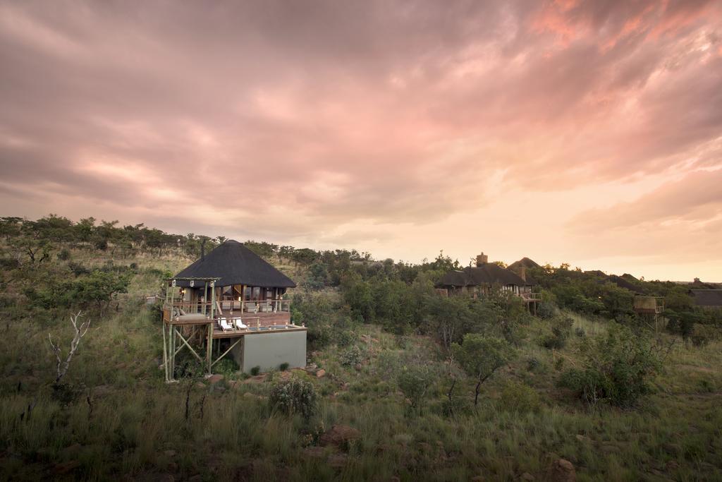 Mhondoro Safari Lodge & Villa Welgevonden Game Reserve Εξωτερικό φωτογραφία